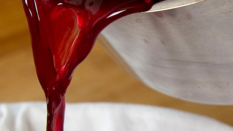 Opskrift: Lav din egen hyldebærsnaps