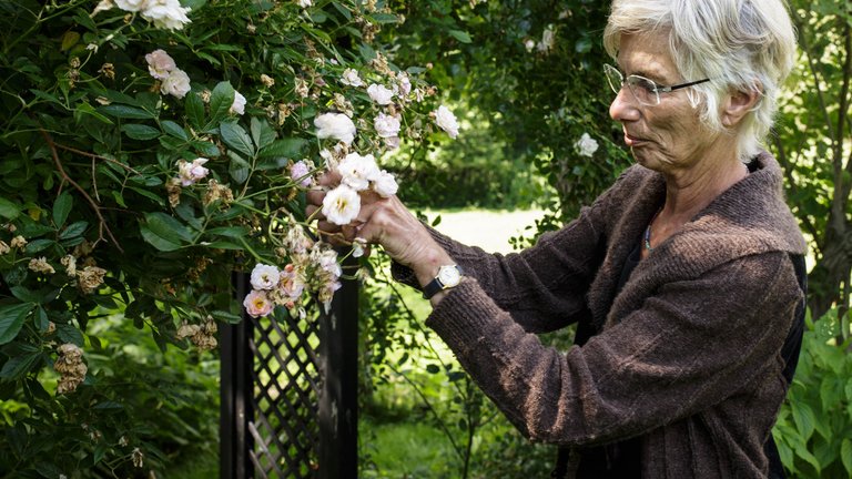 Jeg hører hjemme på landet