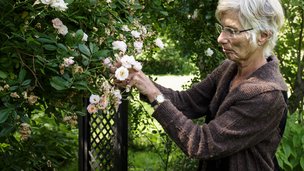 Jeg hører hjemme på landet