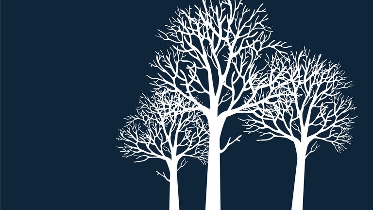 Vinter i haven - hvad kan du lave?