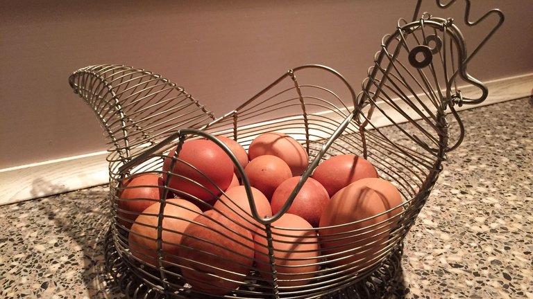 Skal du opbevare æg i køleskabet eller på køkkenbordet?