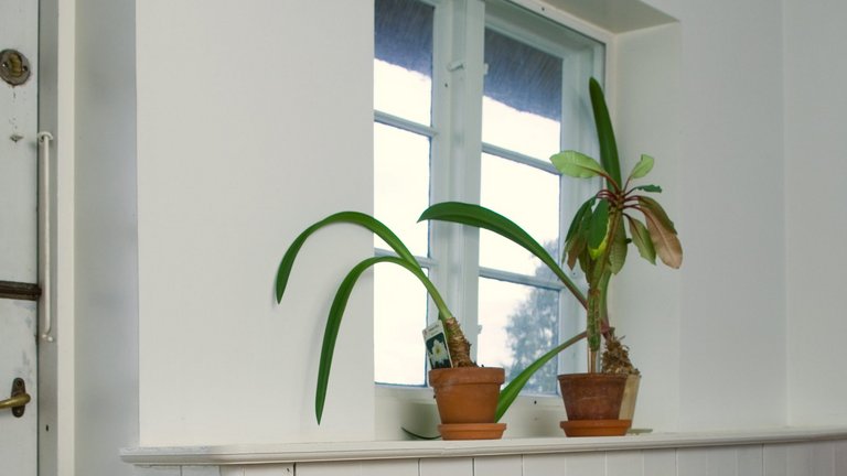 Vindueskarm eller vinduesplade - få overblik over materialevalg og udformning