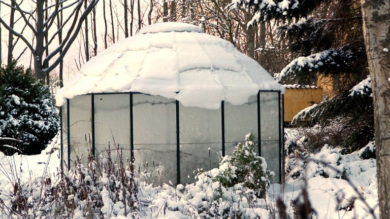 10 gode råd til haven i december
