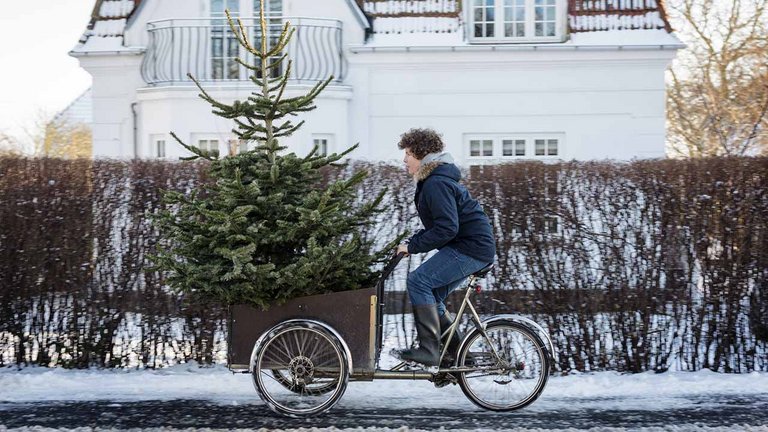 Hvad gør du med juletræet efter jul?