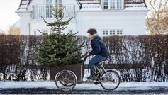 Hvad gør du med juletræet efter jul?