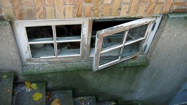 Generelt om kælderen