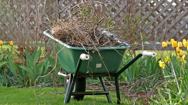 Gør haven forårsklar