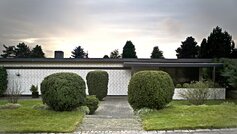 Den modernistiske villa