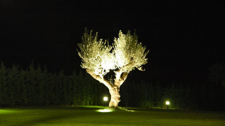 Udendørs belysning ved din bolig