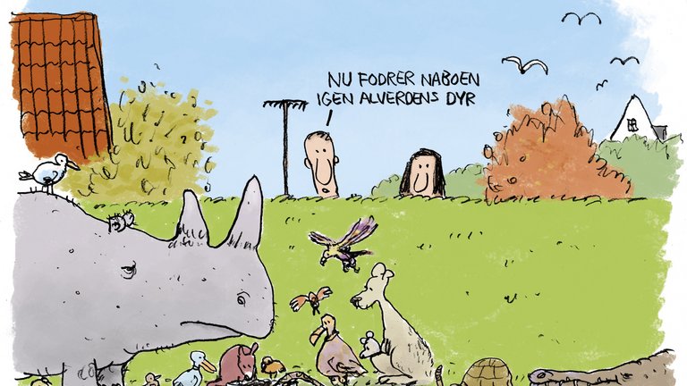 Må du fodre vilde dyr i din have?