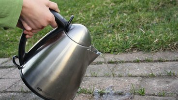 Kan kogende vand fjerne ukrudt mellem fliserne?