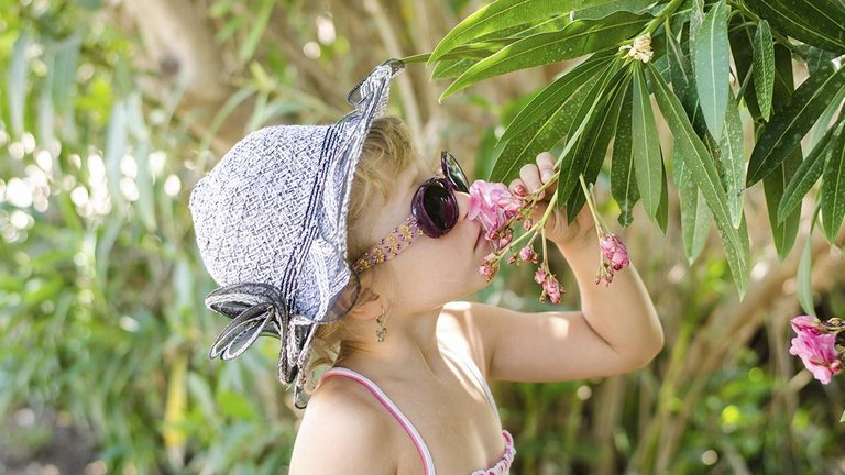 Nerie er en giftig plante, der kan findes i nogle haver