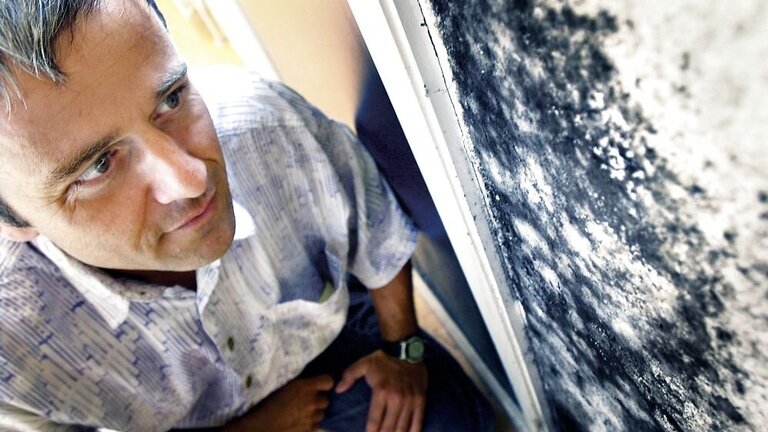 Skimmelsvamp på væg