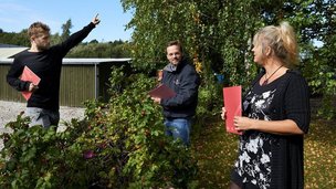 Undgå nabokonflikt over hegn og hæk i skel