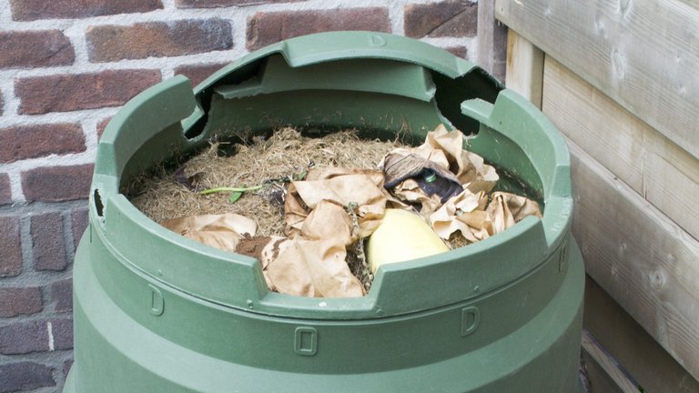 5 gode råd til kompost om vinteren