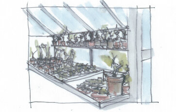 tegning/skitse af af hylde med blomster i drivhus