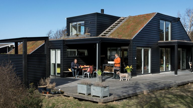 Grønt tag med hund og hjorte ovenpå