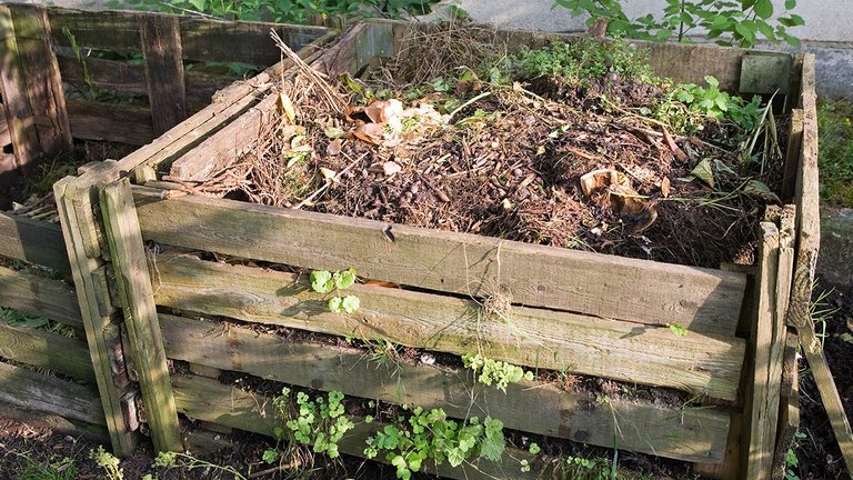 Sådan kommer du af med haveaffaldet