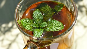 Kan du dyrke te i haven?