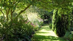 Toves eventyrlige skovhave