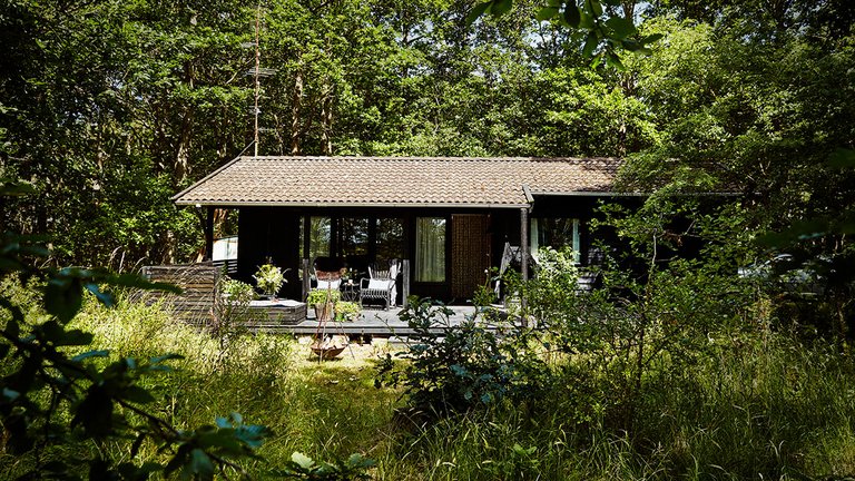 Masser af krydsfiner i skovhuset