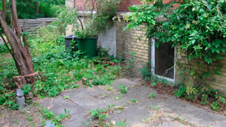 Sådan bekæmper du ukrudt mellem fliser og i belægninger