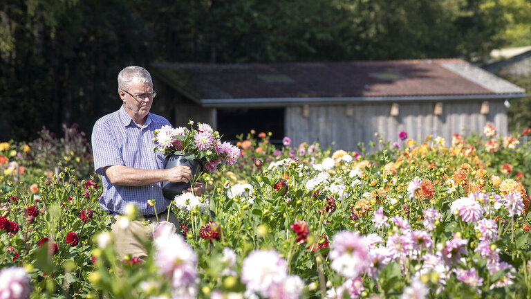Fra græsmark til georginehave