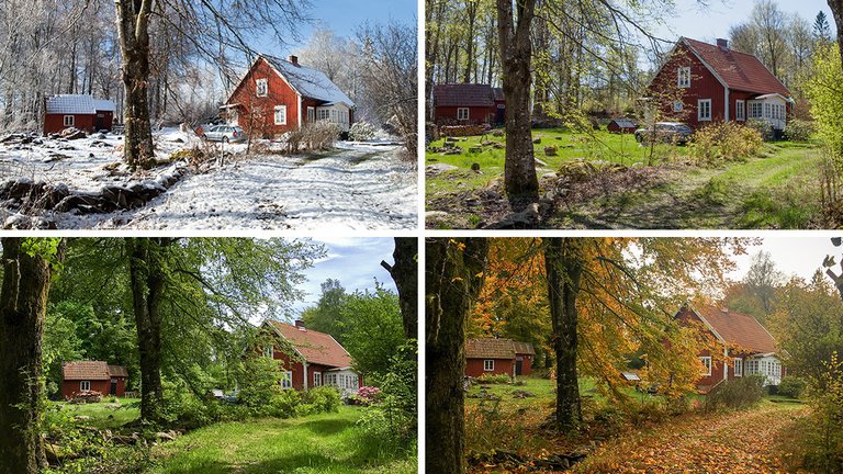 Svensk ødegård set om forår, sommer, efterår og vinter