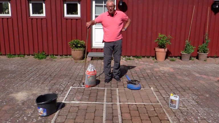 Test: Hvad er bedst til at fjerne flisepest?