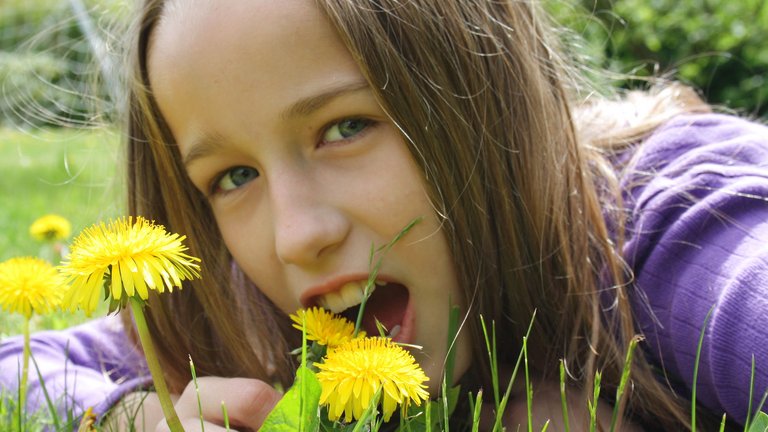 Kan du spise dit ukrudt?