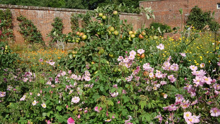 Den victorianske køkkenhave