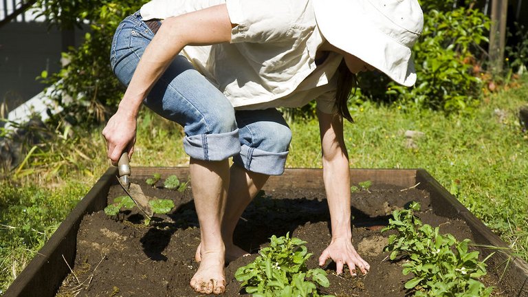 Kvinde ordner bed i haven