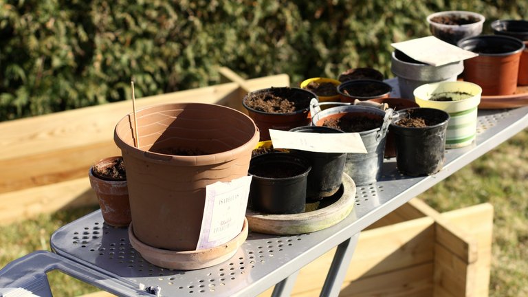 Plantebord udendørs