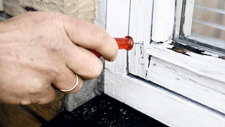 Red dit hus - tjek det for råd og svamp