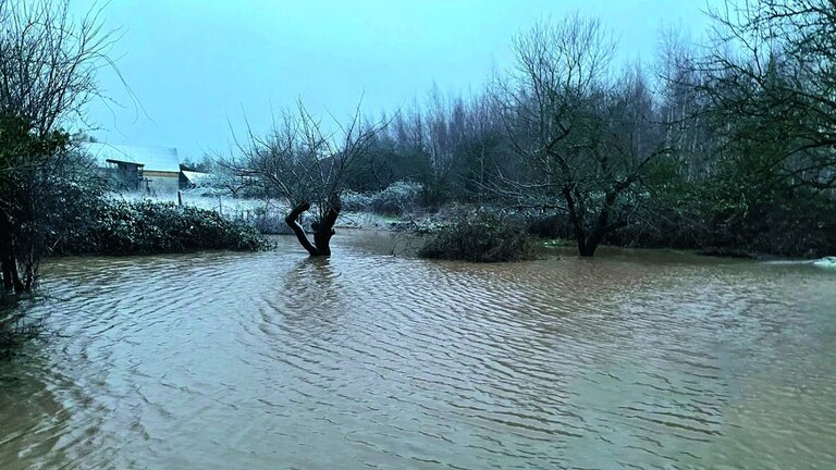 Stigende grundvand: Ditte Maries have stod under vand