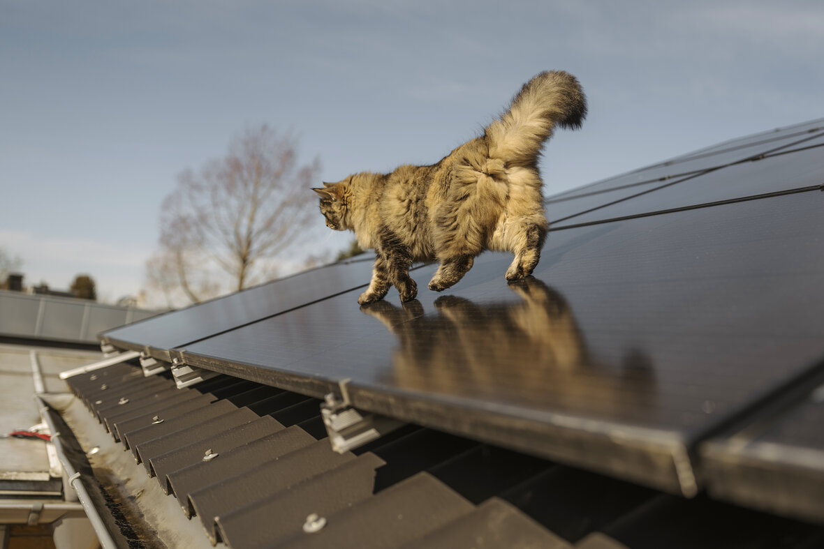 Kat på tag med solceller
