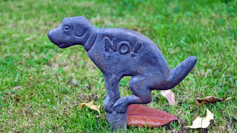 Er det lovligt at efterlade hundelort på fortovet?