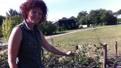 Gartneren blev sneglefri med vild have