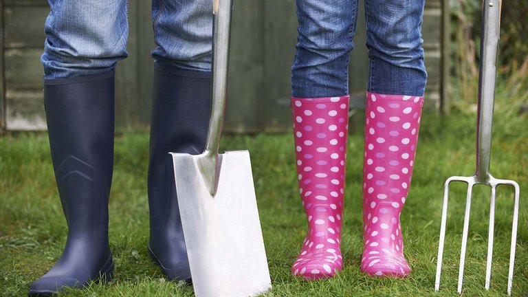 Få 8 gode råd til at kickstarte græsplænen