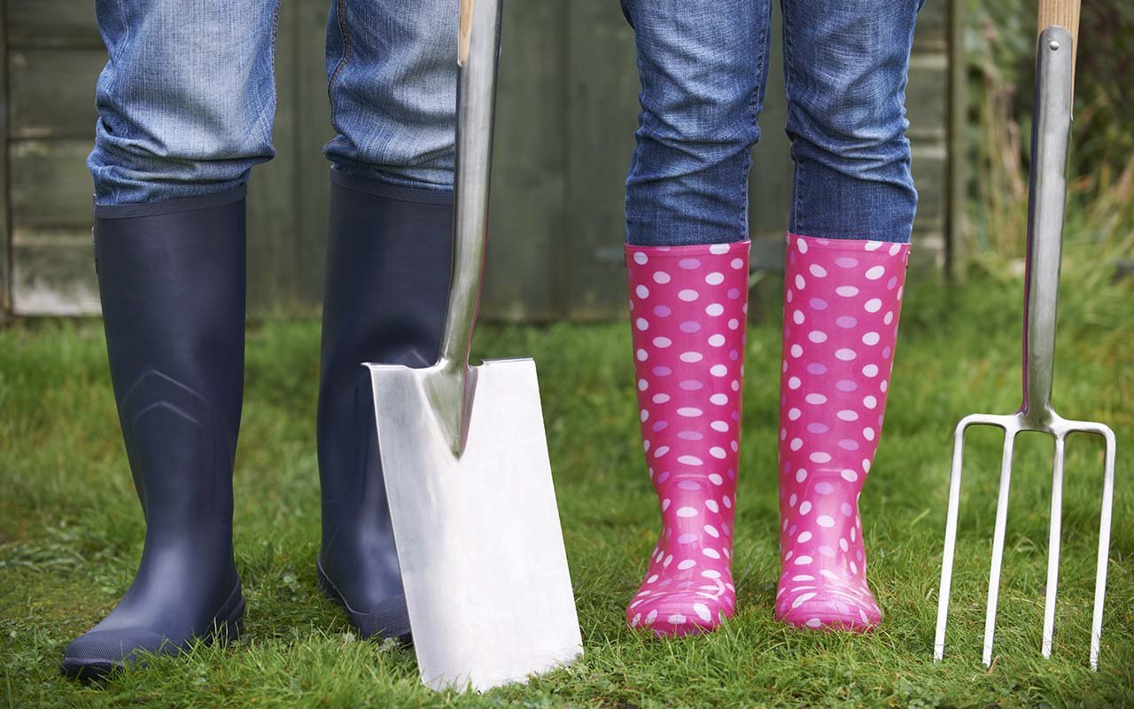 Få 8 gode råd til at kickstarte græsplænen