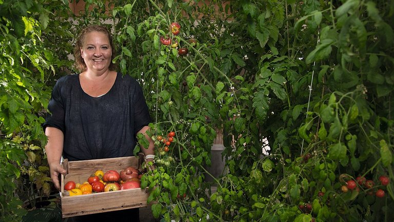 Charlotte er bidt af en gal tomat