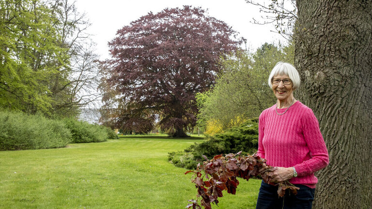 Lene Bjoern under blodbøgen