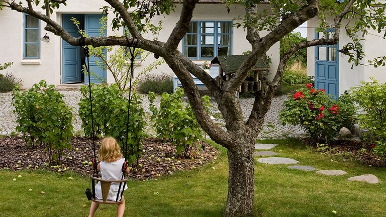 Gynge hænger fra et træ i have