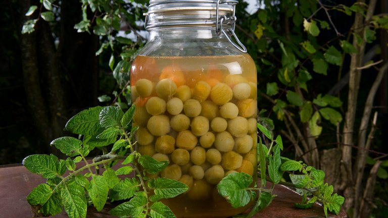 Sådan laver du syltede grønne tomater