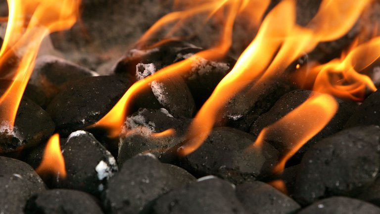 Hvad er bedst – grillkul eller grillbriketter?