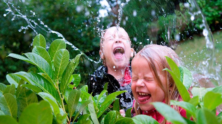 Regnvejr: 5 ting, du kan gøre i haven