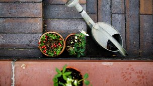 Få flotte og sikre belægninger i haven