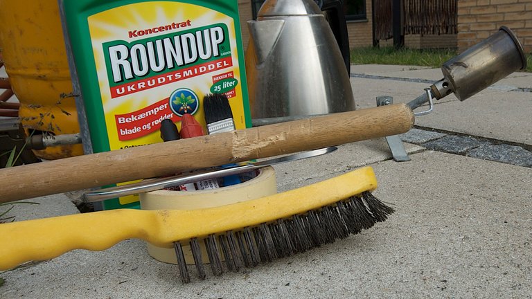 Test: Hvordan fjerner du nemmest ukrudt mellem fliserne?