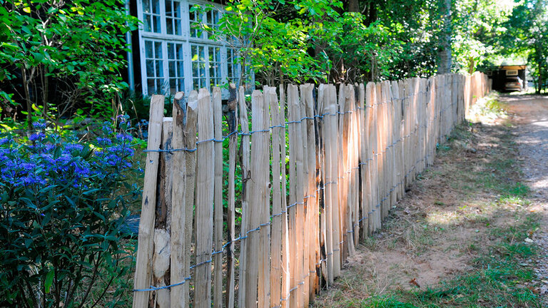 Sådan laver du et kastanjehegn