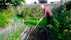 Dét skal du gøre i haven efter sommerferien
